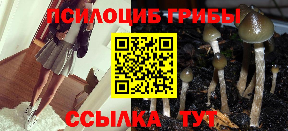 Медногорск  Псилоцибиновые грибы Cubensis  Вход с VPN  Псилоцибиновые грибы Magic Shrooms 